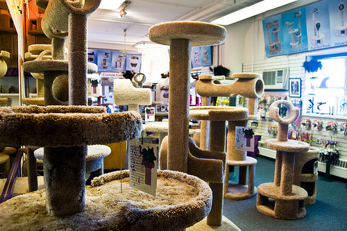 Media_httpfarm4static_chefd