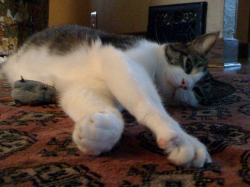 Photo_5