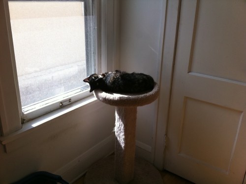 Photo_2