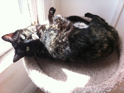 Photo_3