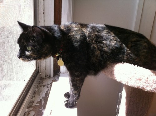 Photo_4