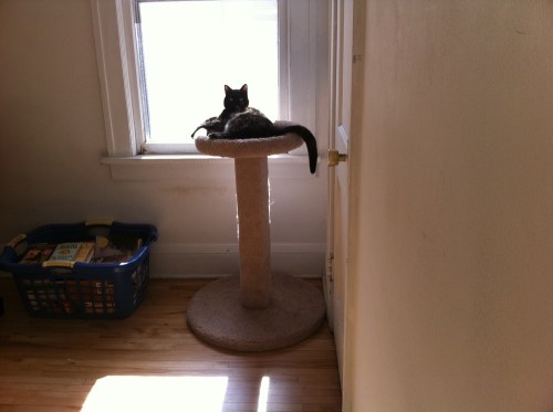 Photo_5