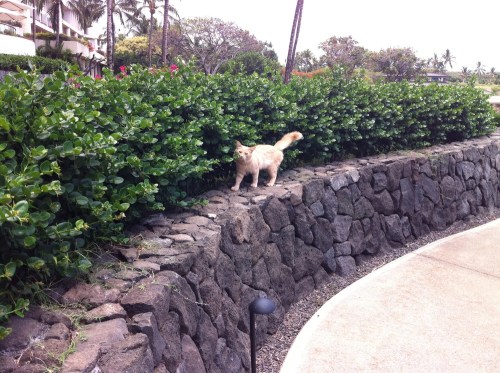Photo_2
