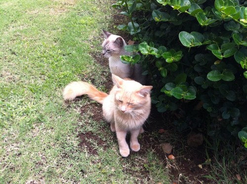 Photo_3